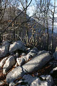 Il cippo di confine divelto  nr. 191