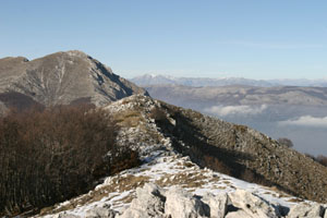 Cresta terminale prima della cima di m.te Serra Comune