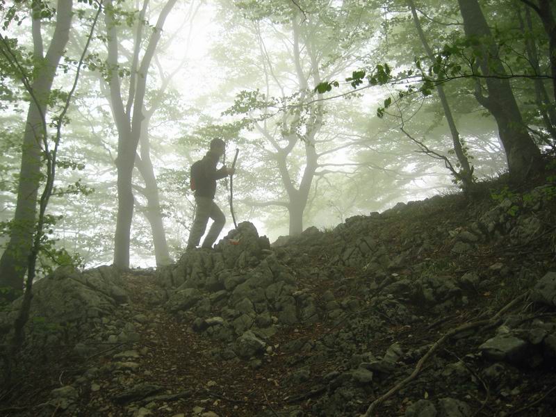 Ascesa nella nebbia web.JPG