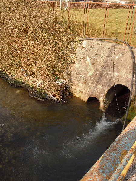 Canterno_-_Sversamento_sospetto_nel_torrente2_450x600.jpg