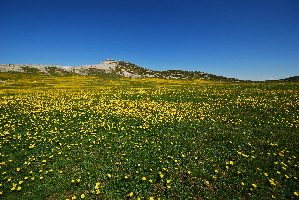 Crepacuore 16-06-2013 032r.jpg