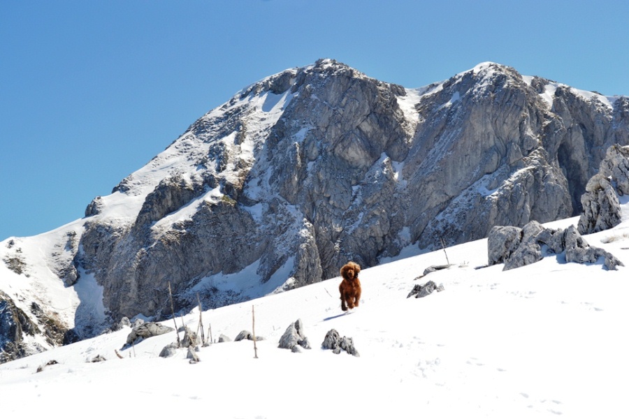 Forum Dei Monti Ernici Leggi Argomento Pizzo Deta Parete Nord Ovest 