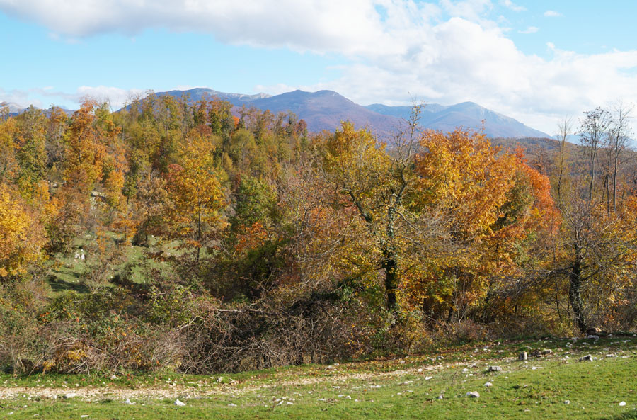 Foliage sugli Ernici.jpg