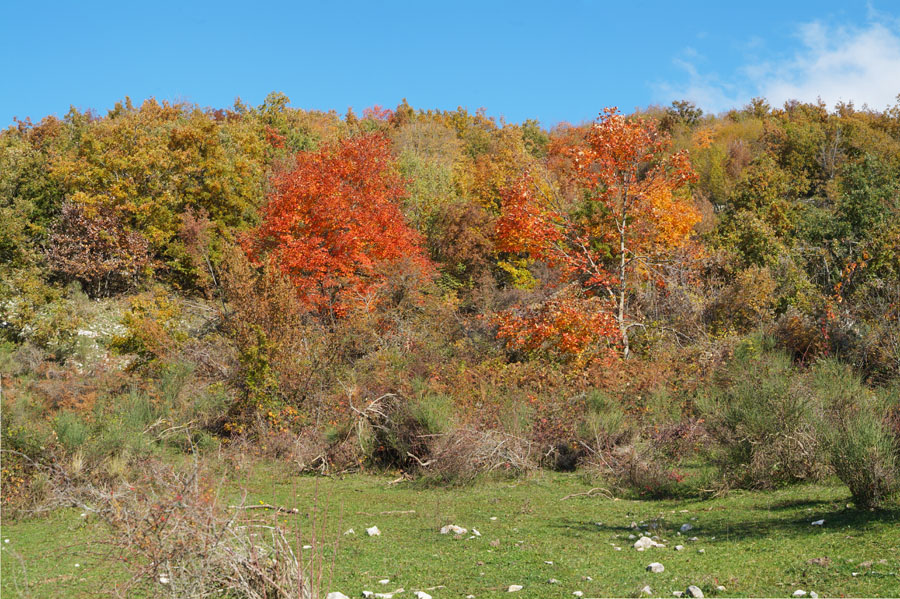 Foliage sugli Ernici b.jpg