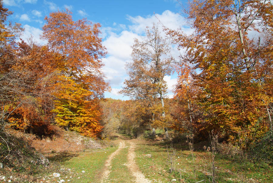 Foliage sugli Ernici e.jpg