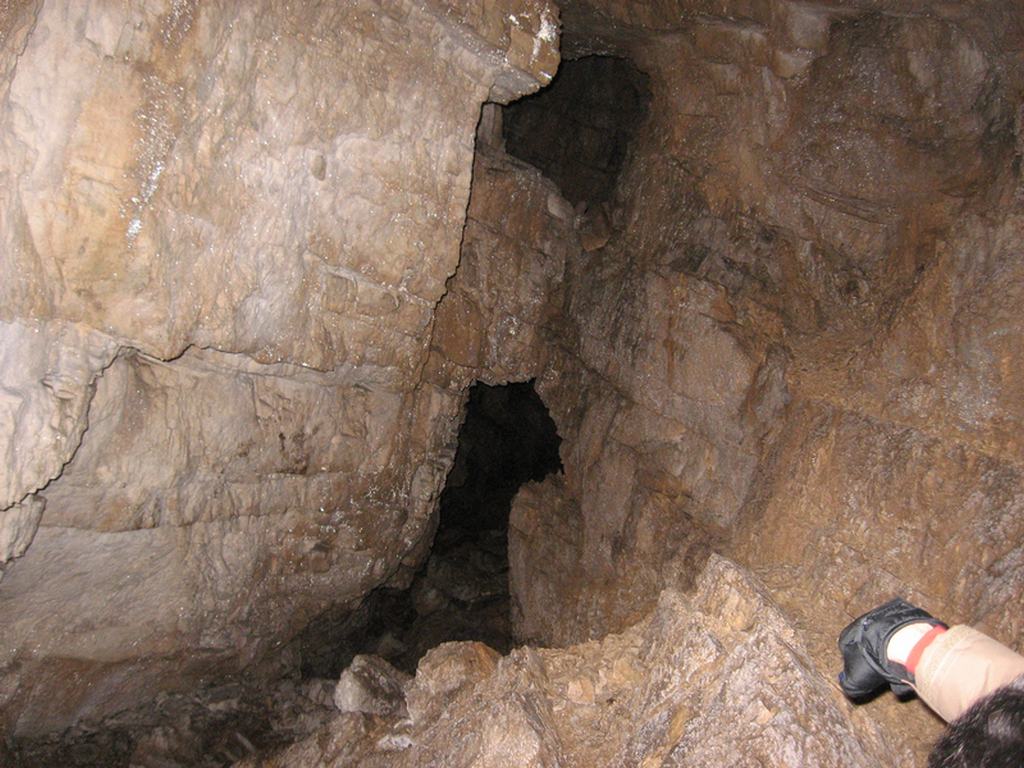 Grotta dell'orso 2 cavit 2 parte.jpg