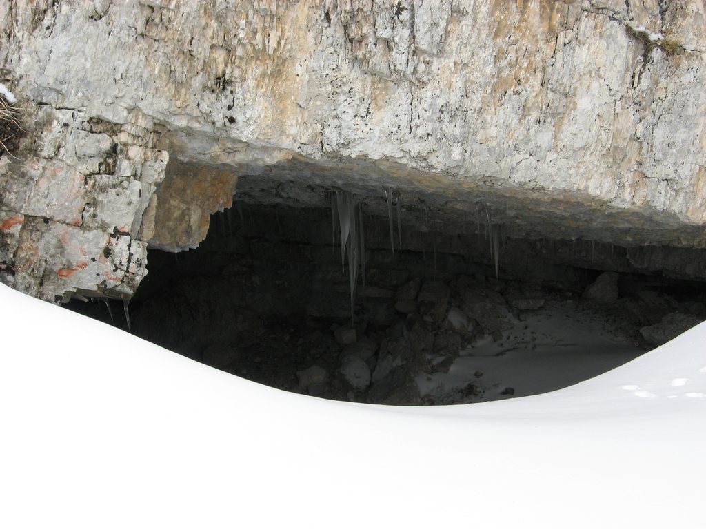 Grotta dell'orso soffitto ingresso.jpg