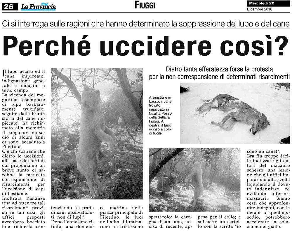 la_provincia_22_12_2010.jpg