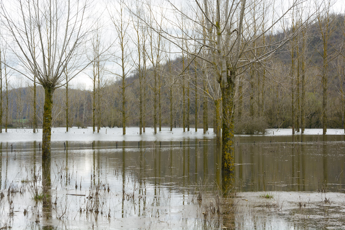 Lago di Canterno (Le Giunchette).jpg