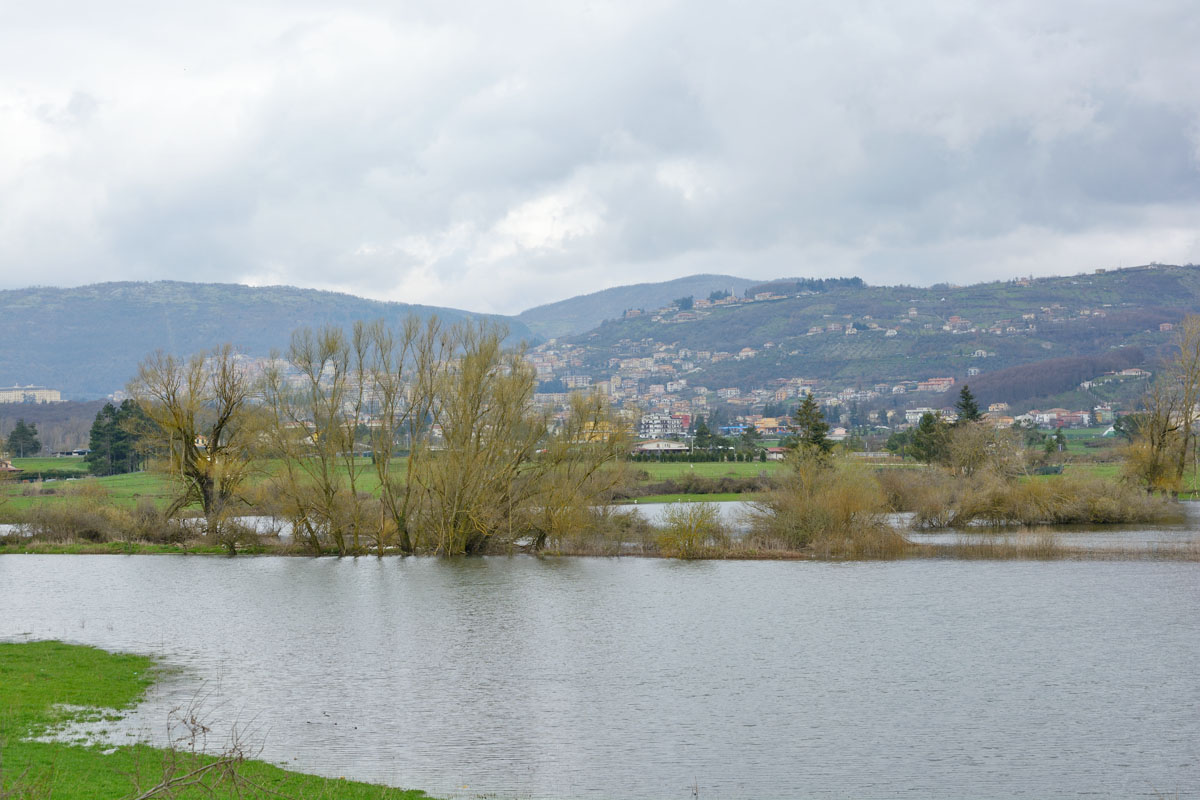 Lago di Canterno (Le Giunchette-Fiuggi).jpg