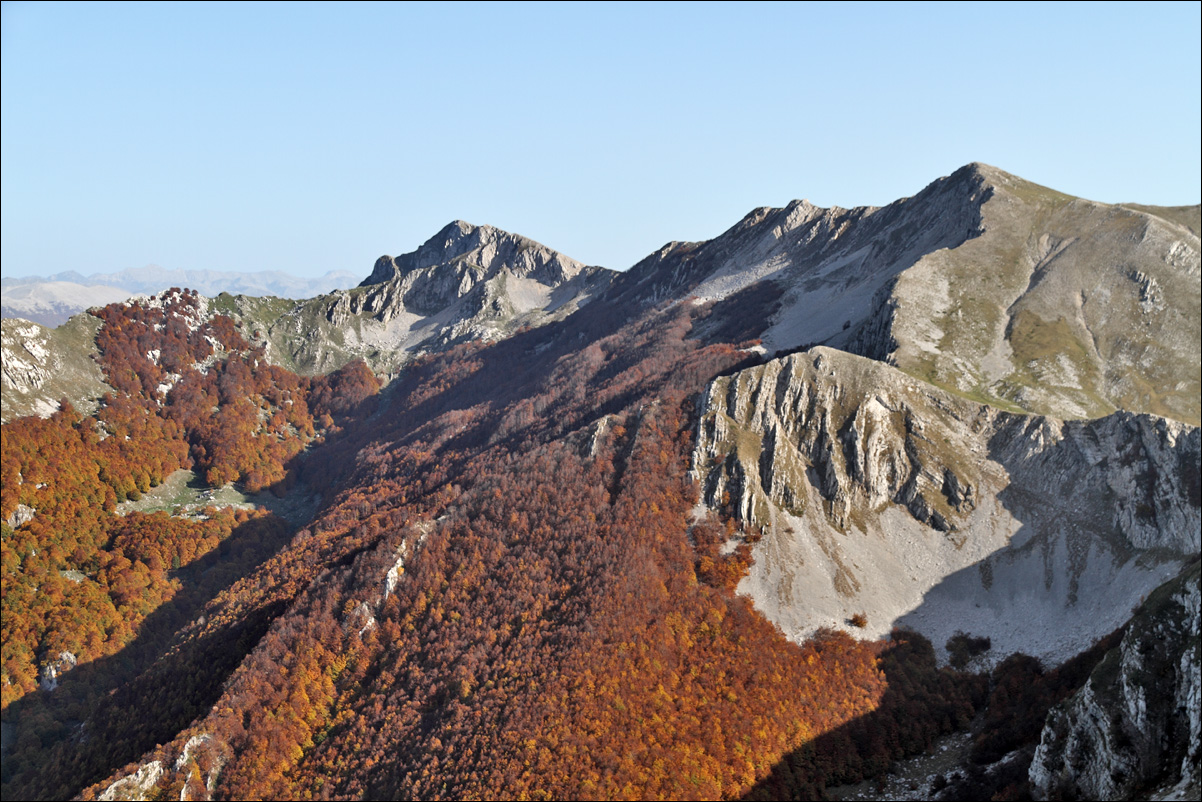 p autunno su passeggio - detaIMG_5931 B.jpg