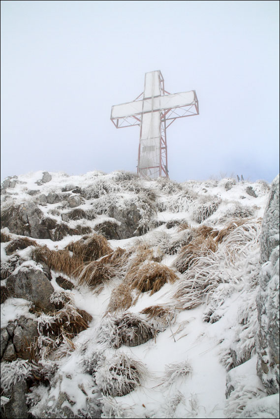 Forum Dei Monti Ernici Leggi Argomento Monte Rotonaria Croce Di Vetta 