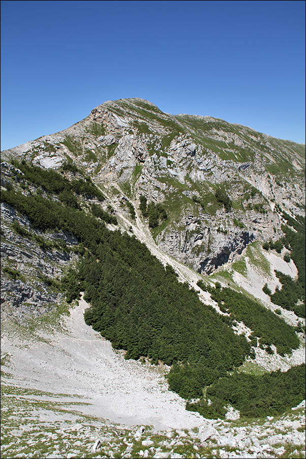 p monte cappello IMG_6684.jpg