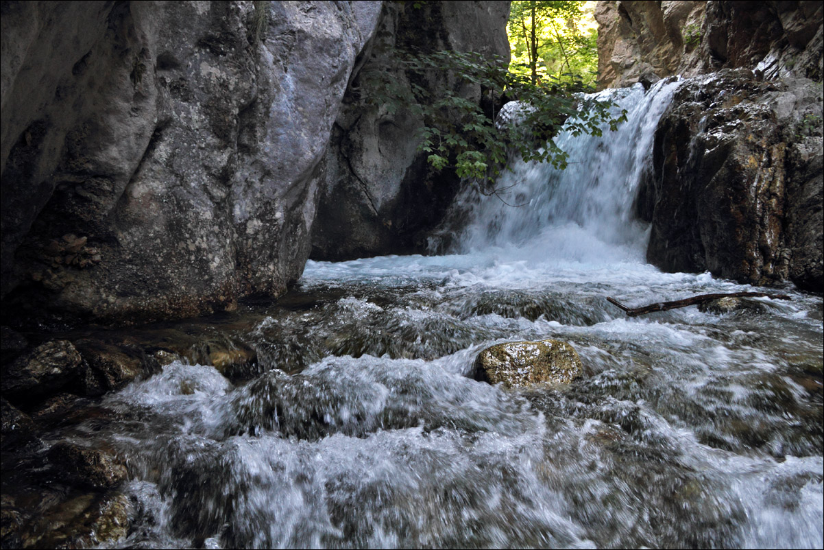 p torrente fiume IMG_6951.jpg