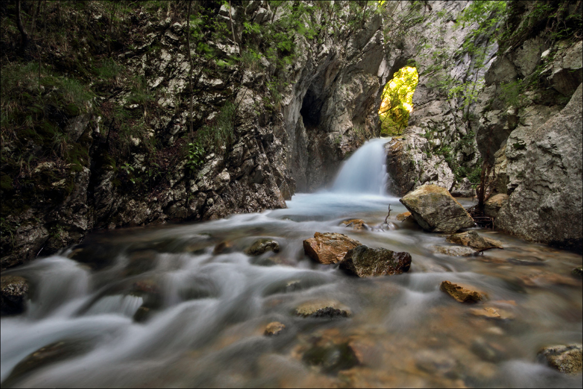 p torrente fiume IMG_6968.jpg