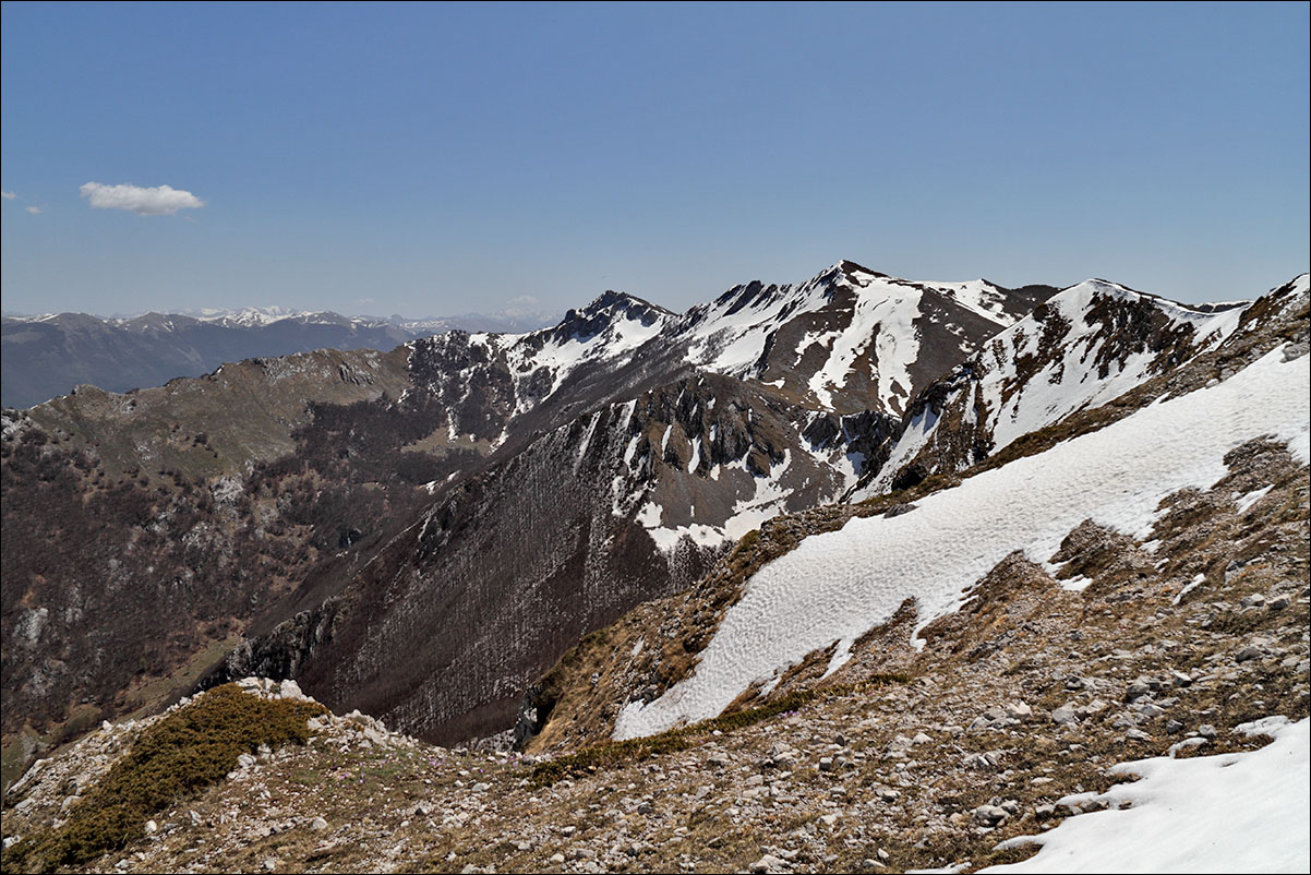 pano neve IMG_6185.jpg