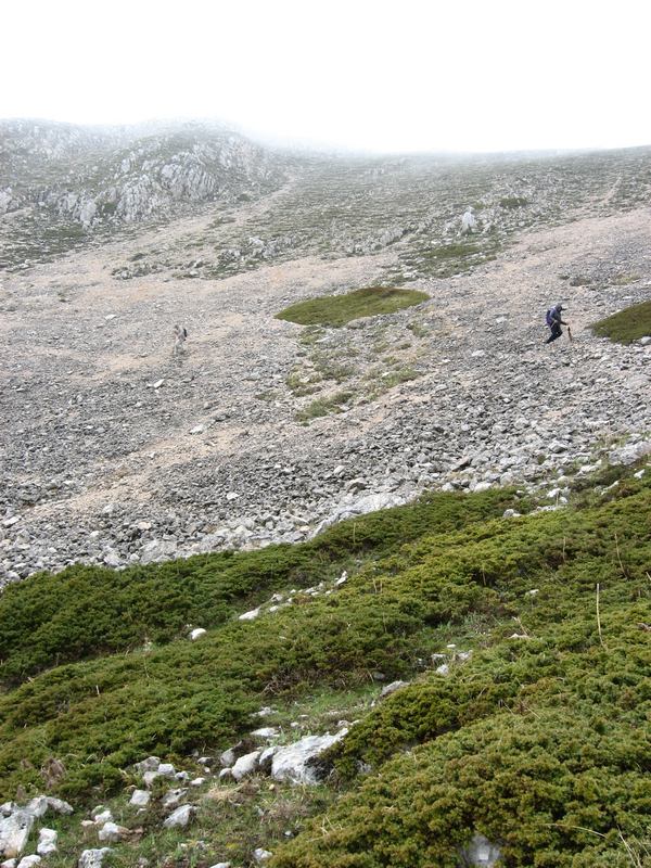 Scalelle-Passeggio fuga dalla vetta.jpg