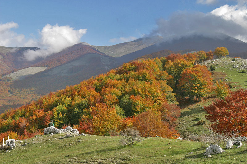 Panorama autunnale