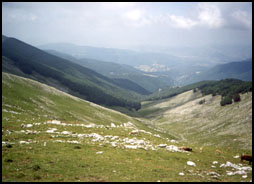 Valle Marchetta vista dall'alto